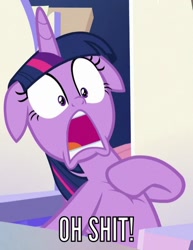 Size: 467x606 | Tagged: safe, screencap, twilight sparkle, twilight sparkle (alicorn), alicorn, sparkle's seven, caption, cropped, floppy ears, image macro, meme, reaction image, solo, text, vulgar