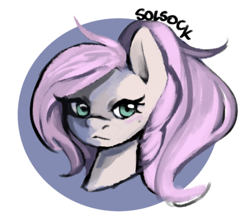 Size: 484x421 | Tagged: safe, artist:solsock, derpibooru import, oc, oc:astral comet, female