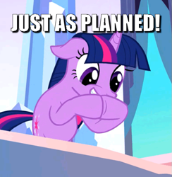 Size: 577x592 | Tagged: safe, edit, edited screencap, screencap, twilight sparkle, the crystal empire, caption, cropped, image macro, just as planned, meme, solo, text