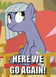 Size: 393x540 | Tagged: safe, edit, edited screencap, screencap, limestone pie, rock solid friendship, annoyed, caption, cropped, here we go again, image macro, limestone pie is not amused, meme, solo, text