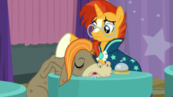 Size: 1920x1080 | Tagged: safe, screencap, cranky doodle donkey, sunburst, a trivial pursuit, sleeping