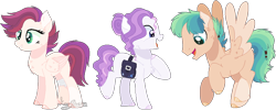 Size: 1010x402 | Tagged: safe, artist:emabases, oc, pony, base used, colored hooves, female, magical lesbian spawn, magical threesome spawn, male, mare, multiple parents, offspring, parent:big macintosh, parent:dumbbell, parent:pinkie pie, parent:rainbow dash, parent:sunset shimmer, parent:trixie, parent:twilight sparkle, parents:dumbdash, parents:trixiepie, parents:twishimmermac, saddle bag, simple background, stallion, transparent background