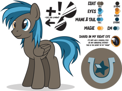 Size: 2000x1489 | Tagged: safe, artist:le-23, oc, oc:going lucky, pegasus, pony, heterochromia, male, reference sheet, simple background, solo, stallion, sunglasses, transparent background