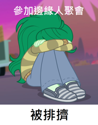 Size: 666x846 | Tagged: safe, edit, edited screencap, screencap, wallflower blush, better together, equestria girls, forgotten friendship, chinese, meme, translated in the comments