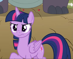 Size: 1001x804 | Tagged: safe, screencap, twilight sparkle, twilight sparkle (alicorn), alicorn, pony, between dark and dawn, cropped, determined, female, mare, raised hoof, solo, wavy mouth