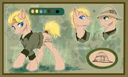 Size: 1280x767 | Tagged: safe, artist:swaybat, oc, oc only, earth pony, pony, bust, clothes, earth pony oc, hat, male, pith helmet, reference sheet, smiling, stallion, tail wrap