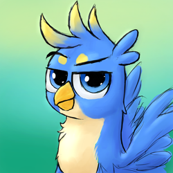 Size: 2000x2000 | Tagged: safe, artist:solarbutt, gallus, griffon, gradient background, looking at you, male, pale belly, simple background, solo, wings