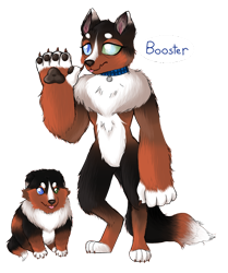 Size: 1124x1344 | Tagged: safe, artist:unoriginai, oc, oc only, oc:booster, anthro, diamond dog, digitigrade anthro, age progression, backstory in description, blind in one eye, collar, cute, diamond dog oc, diamond puppy, female, female diamond dog, nuclear sclerosis, paws, simple background, solo, text, transparent background, underpaw