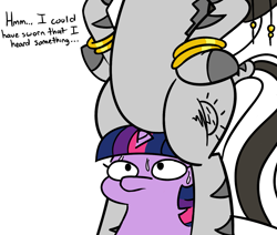 Size: 1293x1097 | Tagged: safe, artist:spookitty, twilight sparkle, oc, oc:matriarch zeg'us, pony, unicorn, zebra, cute, dialogue, female, i can't believe it's not jargon scott, mare, not zecora, simple background, size difference, twiggie