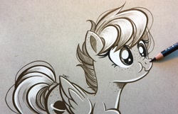 Size: 2048x1318 | Tagged: safe, artist:emberslament, oc, oc only, oc:apogee, pegasus, pony, boop, butt freckles, colored pencil drawing, cute, diageetes, ear freckles, female, filly, freckles, grayscale, monochrome, ocbetes, pencil boop, pencil drawing, photo, scrunchy face, sketch, solo, teenager, traditional art