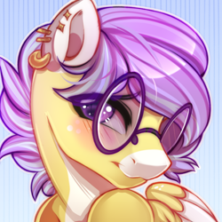 Size: 600x600 | Tagged: safe, artist:cabbage-arts, oc, oc only, oc:spunky dart, pegasus, bust, cute, glasses, male, portrait, shy, stallion