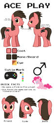 Size: 5000x11400 | Tagged: safe, artist:mrkat7214, pinkie pie, oc, oc only, oc:ace play, earth pony, original species, pony, facial hair, female, goatee, male, mare, plush pony, plushie, reference sheet, semi-transparent, semi-transparent background, simple background, solo, stallion