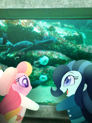 Size: 750x1000 | Tagged: safe, artist:carouselunique, oc, oc only, oc:dolly dusk, oc:honeycrisp blossom, fish, equestria girls, aquarium, colored pupils, duo, equestria girls in real life, freckles, hat, offspring, parent:big macintosh, parent:chancellor neighsay, parent:princess cadance, parent:sonata dusk, parents:cadmac, parents:neighsaynota, starry eyes, suspenders, wingding eyes