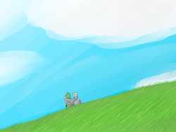 Size: 1600x1200 | Tagged: safe, artist:mint5torm, oc, oc:dutchiie, oc:mint storm, bat pony, pegasus, grass, grass field, sky