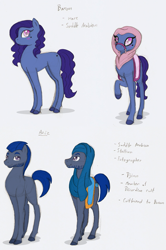 Size: 881x1327 | Tagged: safe, artist:ravenpuff, oc, oc only, saddle arabian, beard, blushing, clothes, colored hooves, facial hair, female, male, mare, raised hoof, reference sheet, saddle, smiling, stallion, tack, text