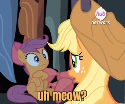 Size: 967x810 | Tagged: safe, edit, edited screencap, screencap, applejack, scootaloo, earth pony, pony, somepony to watch over me, apple bloom's bow, bow, caught, closet, cropped, hair bow, hub logo, meow, sonic movie 2020, sonic the hedgehog (series)