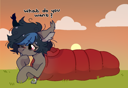 Size: 1000x693 | Tagged: safe, artist:rymdsten, oc, oc:lua, bat pony, pony, female, fluffy, mare, sleeping bag, solo