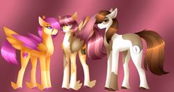 Size: 4348x2293 | Tagged: safe, artist:clay-bae, pipsqueak, scootaloo, oc, oc:camo feather, earth pony, pegasus, pony, colored hooves, colored wings, colored wingtips, feathered fetlocks, female, high res, male, offspring, parent:pipsqueak, parent:scootaloo, parents:scootasqueak, scootasqueak, shipping, straight