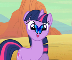 Size: 339x280 | Tagged: safe, edit, edited screencap, screencap, twilight sparkle, butterfly, pony, unicorn, the last roundup, cute, solo, twiabetes