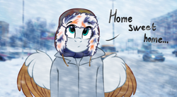 Size: 3500x1928 | Tagged: safe, artist:airfly-pony, oc, oc only, oc:scarlett drop, anthro, pegasus, anthro oc, clothes, coat, hat, scarf, solo