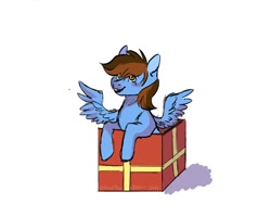 Size: 1000x800 | Tagged: safe, artist:amethesaladhair, oc, oc:pegasusgamer, pegasus, bust, christmas, happy, holiday, pegasus oc, present, smiling, wings