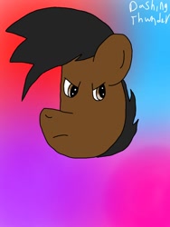 Size: 768x1024 | Tagged: safe, artist:dashing thunder, oc, oc:dashing thunder, pony, digital art