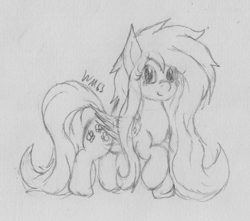 Size: 2045x1810 | Tagged: safe, artist:wapamario63, fluttershy, pegasus, pony, cute, female, long mane, looking at you, mare, monochrome, shyabetes, solo, traditional art, wings