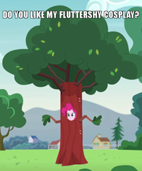 Size: 600x720 | Tagged: safe, edit, edited screencap, screencap, pinkie pie, equestria girls, friendship games, pinkie spy (short), caption, clothes, costume, cropped, disguise, fluttertree, image macro, meme, outfit catalog, solo, text, tree