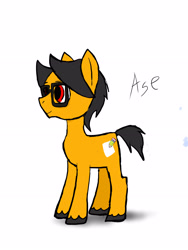Size: 2448x3264 | Tagged: safe, artist:a.s.e, oc, oc:a.s.e, glasses, male, simple background, solo, stallion, white background