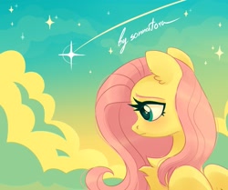 Size: 1565x1311 | Tagged: safe, artist:sonnatora, fluttershy, pegasus, pony, shooting star, solo