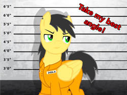 Size: 2048x1536 | Tagged: safe, artist:thunder burst, oc, oc:thunder burst, pegasus, pony, clothes, prison, prison outfit, prisoner, solo