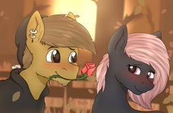 Size: 1200x784 | Tagged: safe, artist:almond evergrow, oc, oc only, oc:almond evergrow, oc:siren shadowstone, earth pony, pony, autumn, blushing, clothes, couple, cute, female, fence, flower, flower in mouth, holiday, hoodie, lidded eyes, male, mare, mare and stallion, romantic, rose, rose in mouth, shipping, sirond, stallion, straight, sunset, tree, valentine's day