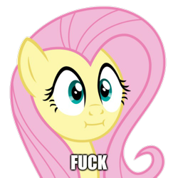 Size: 500x500 | Tagged: safe, edit, edited screencap, editor:joeydr, screencap, fluttershy, pegasus, pony, :i, background removed, caption, female, fuck, image macro, mare, meme, simple background, solo, text, transparent background, vulgar, we bought two cakes