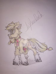 Size: 1080x1440 | Tagged: safe, artist:creature.exist, applejack, earth pony, pony, fluffy, photo, solo, traditional art