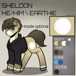 Size: 4000x4000 | Tagged: safe, artist:cyberafter, oc, oc:sheldon, earth pony, pony, clothes, hoodie, refsheet, solo