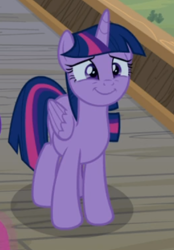 Size: 341x490 | Tagged: safe, screencap, twilight sparkle, twilight sparkle (alicorn), alicorn, once upon a zeppelin, cropped, cute, smiling, solo, twiabetes