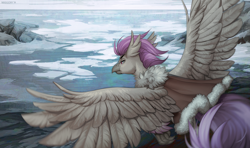 Size: 1518x900 | Tagged: safe, artist:margony, oc, oc only, hippogriff, clothes, cloud, flying, hippogriff oc, ice, jacket, male, ocean, pack ice, rock, sky, solo, spread wings, wings, winter, ych result