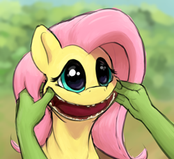 Size: 1236x1128 | Tagged: safe, artist:whiskeypanda, edit, fluttershy, oc, oc:anon, human, pony, /mlp/, bust, creepy, creepy smile, cursed image, drawthread, forced smile, offscreen character, open mouth, smiling, three quarter view, toothless