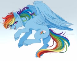 Size: 1280x1013 | Tagged: safe, artist:mrgdog, rainbow dash, pegasus, pony, cheek fluff, fluffy, solo