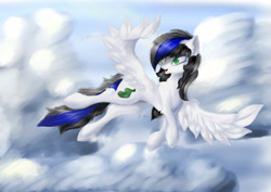 Size: 4092x2893 | Tagged: safe, artist:azzyalder, derpibooru import, oc, pegasus, sky