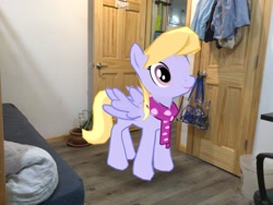 Size: 2046x1536 | Tagged: safe, edit, editor:topsangtheman, cloud kicker, pegasus, pony, augmented reality, gameloft, irl, photo, ponies in real life