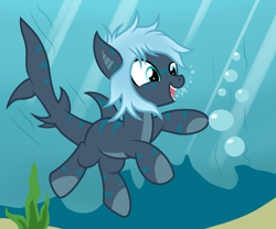 Size: 3000x2500 | Tagged: safe, artist:pizzamovies, oc, oc only, oc:mariana, original species, shark, shark pony, bubble, female, quadrupedal, solo, swimming, underwater