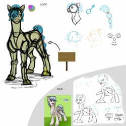 Size: 1024x1024 | Tagged: safe, artist:anelaponela, oc, oc only, earth pony, male, reference sheet, stallion