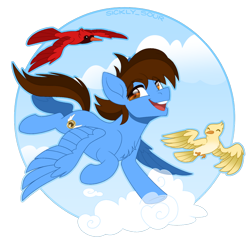 Size: 894x894 | Tagged: safe, artist:sickly-sour, derpibooru import, oc, oc:pegasusgamer, bird, pegasus, animal, chest fluff, cloud, flying, full body, happy, male, sky, smiling, wings