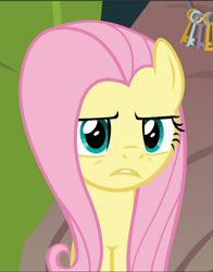 Size: 738x941 | Tagged: safe, derpibooru import, screencap, fluttershy, pegasus, pony, she talks to angel, cropped, female, fluttershy is not amused, mare, solo, unamused