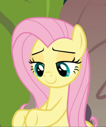 Size: 786x938 | Tagged: safe, derpibooru import, screencap, fluttershy, pegasus, pony, she talks to angel, cropped, cute, female, lidded eyes, mare, shyabetes, smiling, solo