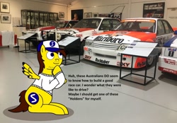 Size: 1280x891 | Tagged: safe, artist:didgereethebrony, derpibooru import, oc, oc:ponyseb, pegasus, pony, australia, bathurst, dialogue, didgeree collection, holden, holden commodore, holden torana, mlp in australia, museum, national motor racing museum, peter brock, ponytail, solo