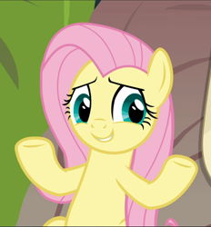 Size: 872x940 | Tagged: safe, derpibooru import, screencap, fluttershy, pegasus, pony, she talks to angel, cropped, cute, female, mare, shrug, shyabetes, smiling, solo, spread hooves