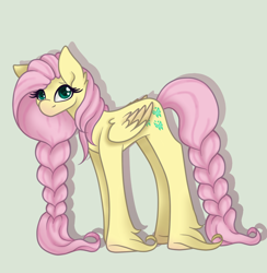 Size: 1200x1228 | Tagged: safe, artist:brendalobinha, derpibooru import, fluttershy, pegasus, pony, braid, braided tail, cute, ear fluff, female, gray background, headcanon in the description, looking at you, mare, shy, shyabetes, simple background, solo, unshorn fetlocks
