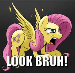 Size: 1200x1173 | Tagged: safe, artist:oinktweetstudios, derpibooru import, edit, fluttershy, pegasus, pony, bruh, meme, solo